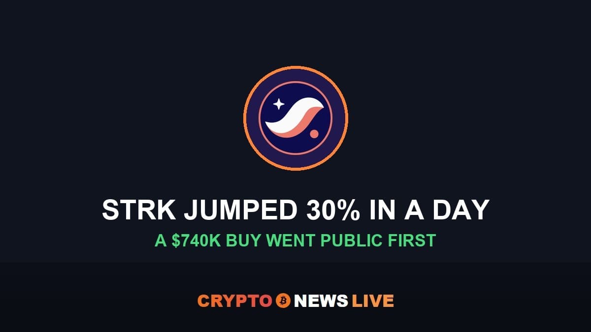 Starknet STRK Volume Jumped Minutes After a $740K Buy Went Public